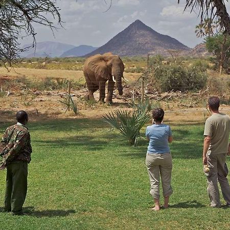 ホテル アシュニル サンブル キャンプ Samburu エクステリア 写真