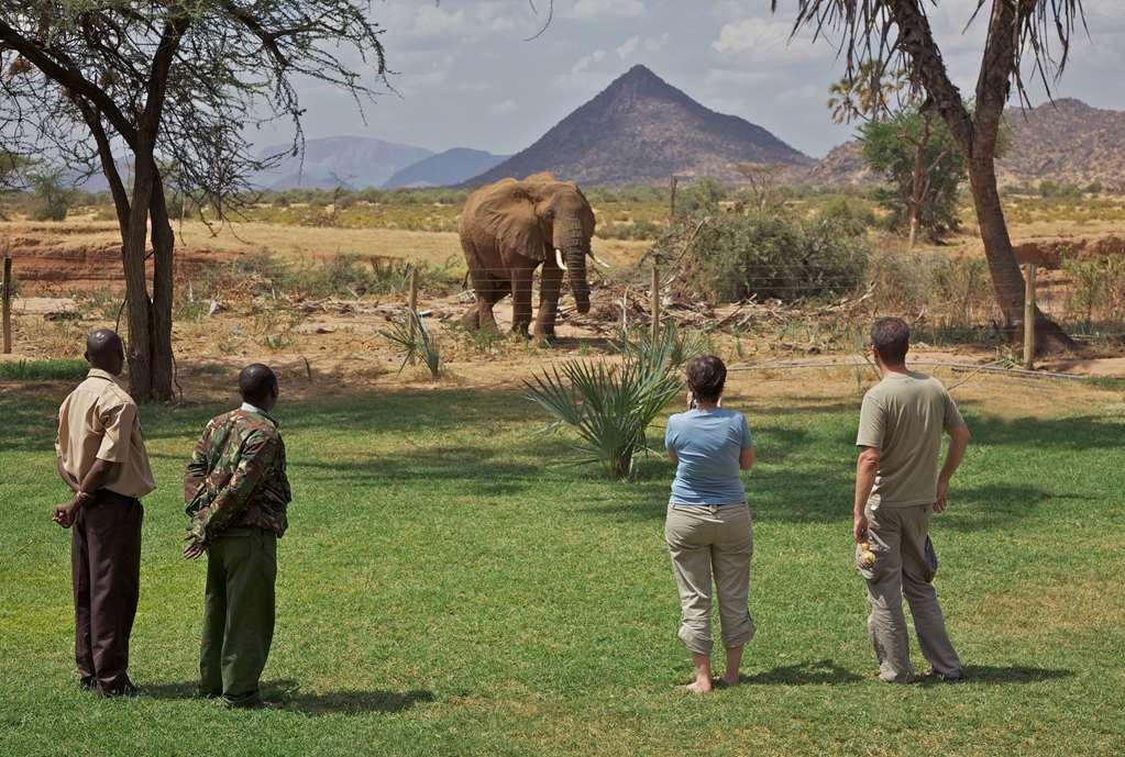 ホテル アシュニル サンブル キャンプ Samburu エクステリア 写真