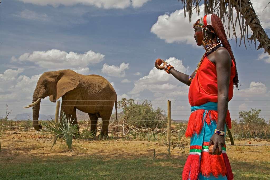 ホテル アシュニル サンブル キャンプ Samburu 設備 写真