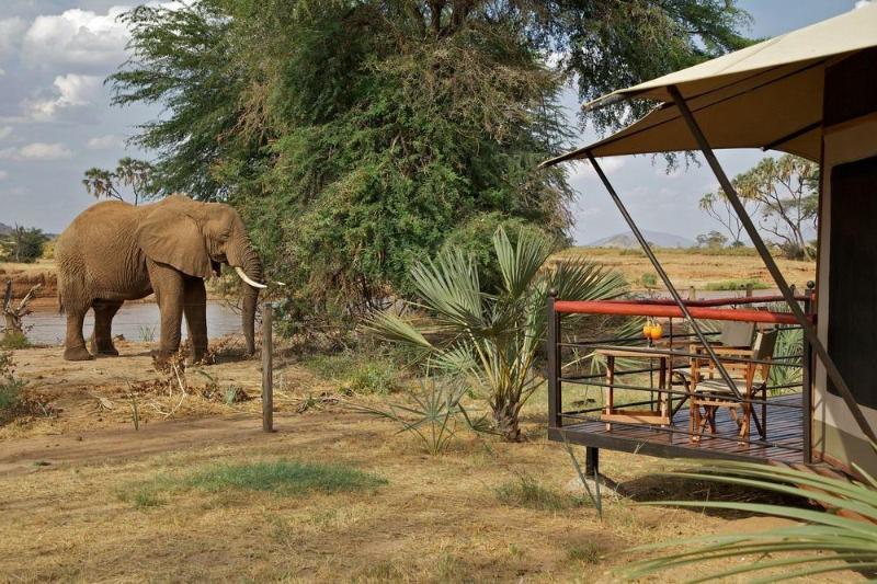 ホテル アシュニル サンブル キャンプ Samburu エクステリア 写真